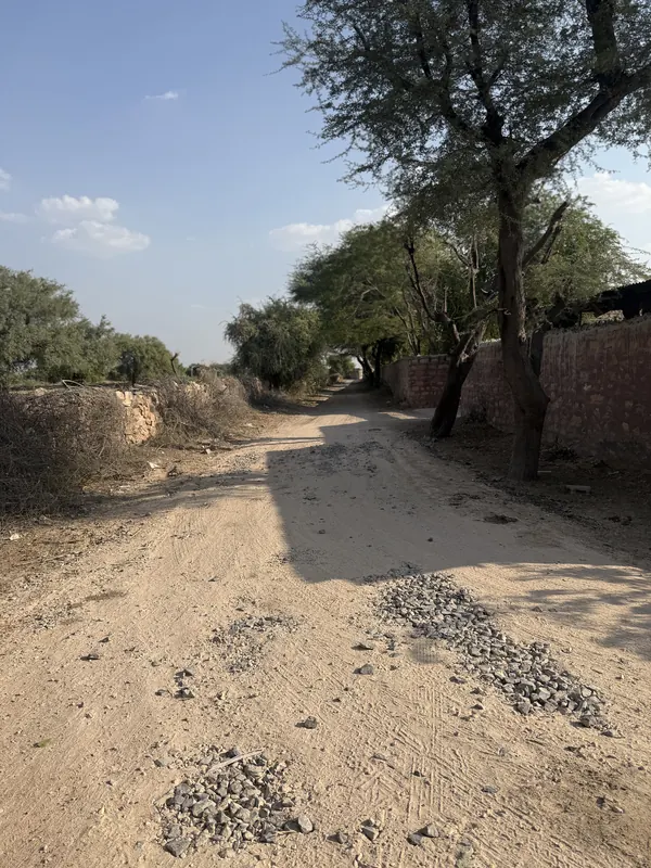 डोली–बुझावड़ रोड